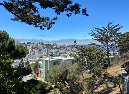 Panoramic view of San Francisco cityscape from hillside lookout