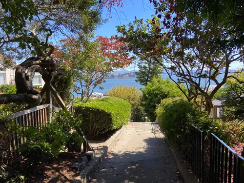 Sunlit pathway with flowering trees and scenic vista access
