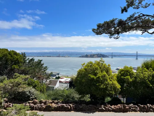 Oakland Bay Bridge and Treasure Island visible across the bay from hillside vantage point