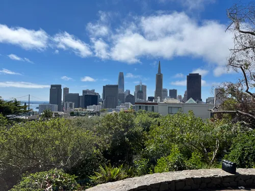 Downtown San Francisco skyline featuring the Transamerica Pyramid