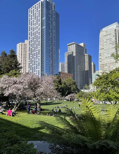 Visitors enjoy this fine day under cherry blossoms and blue skies