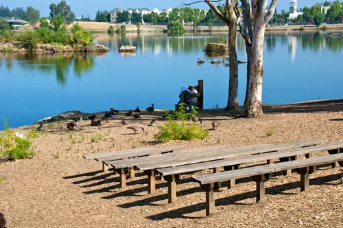Peaceful area overlooking the lake