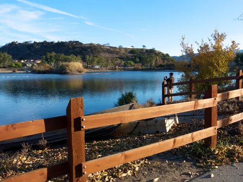 Wooden fence along the shoreline path