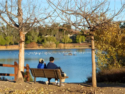 Couple watching birds on the water