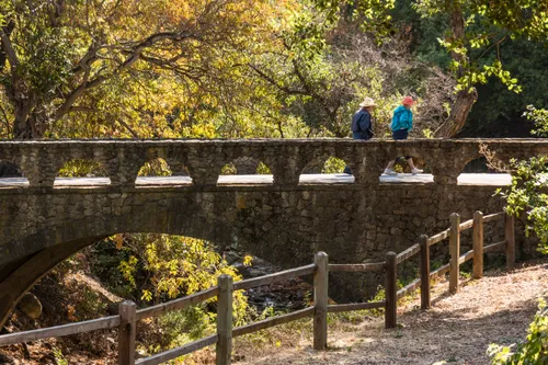 Couple crossing footbridge under golden foliage