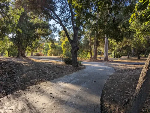 Paved paths curve gently through the park's sun-dappled tree canopy