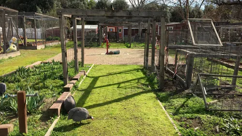 Wooden enclosures and grassy pathways at the educational farm area
