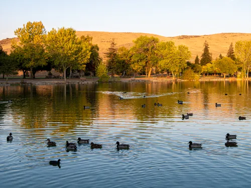 Autumn trees reflect in Cottonwood Lake as ducks glide across the water