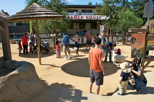 Visitors enjoy the popular goat petting area at Happy Hollow