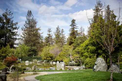 Serene walking path winds through tall trees and landscaped grounds