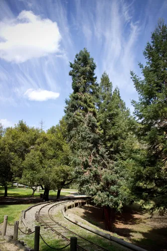 Miniature train track surrounded by trees