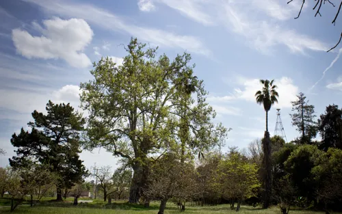 The park has several wooded sections