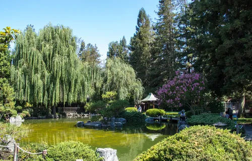 Peaceful water feature surrounded by manicured gardens