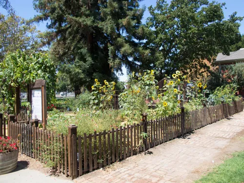 Garden behind wooden fencing