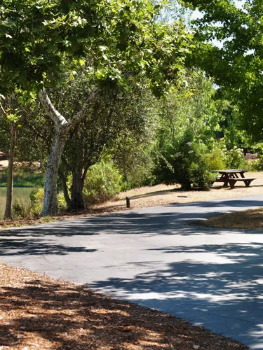 A wide pathway winds through shaded trees