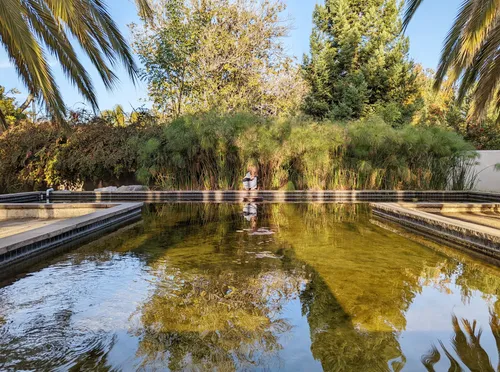 Tranquil reflecting pool mirrors surrounding foliage