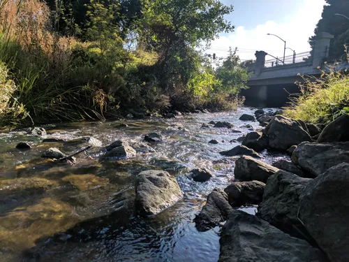 Rocky shallows of the creek near the 3rd Avenue bridge