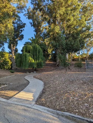 Pathways lead visitors through the small park