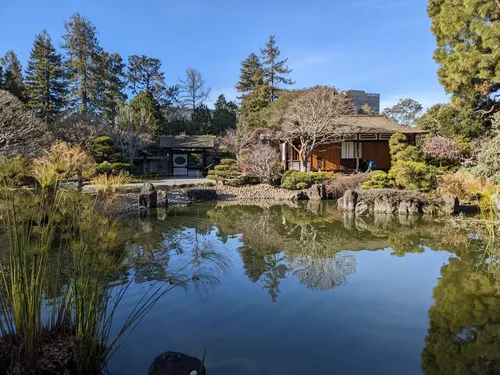 Traditional Japanese building next to a tranquil pond