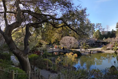 Arching trees frame the peaceful garden pond view