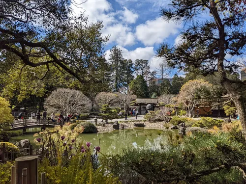 Autumn colors surround the Japanese Garden's reflective water features
