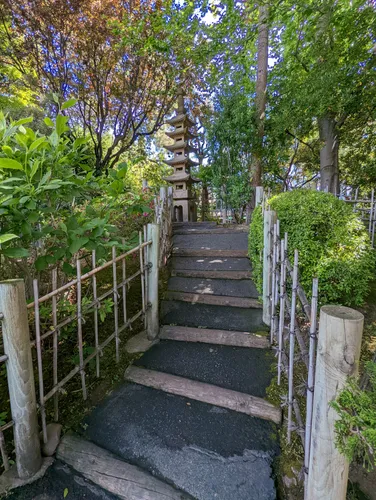 A pathway invites visitors deeper into the garden