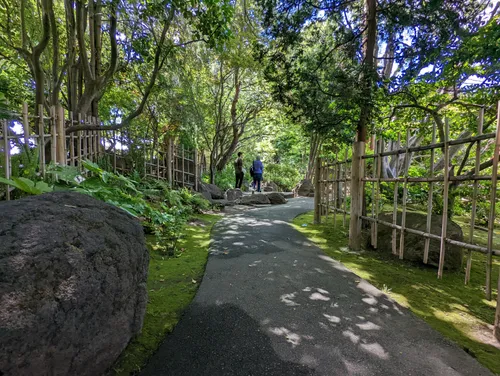 Shaded pathway winds through bamboo grove