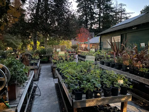 Nursery area with plants available
