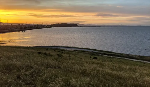 Serene bay view with shoreline and distant horizon at dusk
