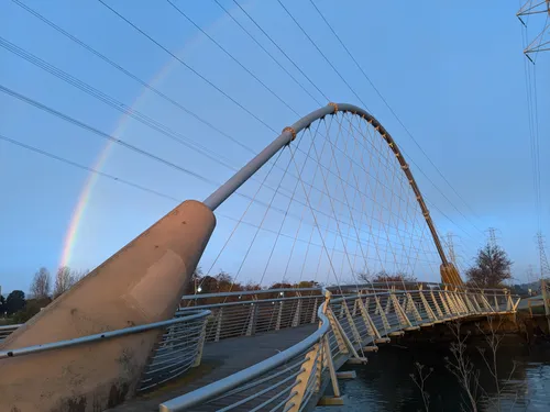 Striking pedestrian bridge at the park's west edge