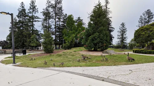Paved pathway next to grassy landscape