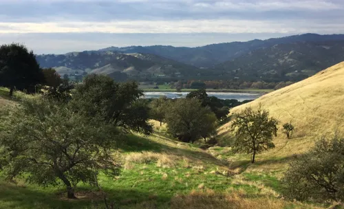 A sweeping view of the park's oak-dotted slopes