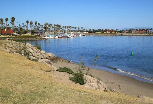 Scenic marina view with palm trees around the harbor