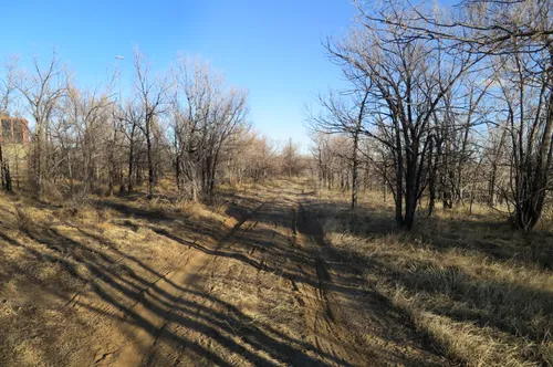 A trail along bare winter trees in the north section of the park
