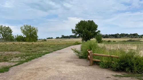 Open grasslands in the Dog Off Leash Area