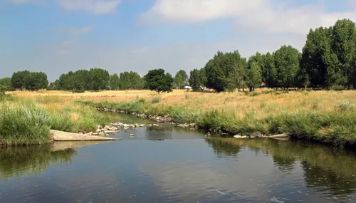 The waters of Sand Creek flow slowly past golden meadows