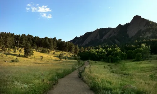 Many trails lead through the fields towards the mountains