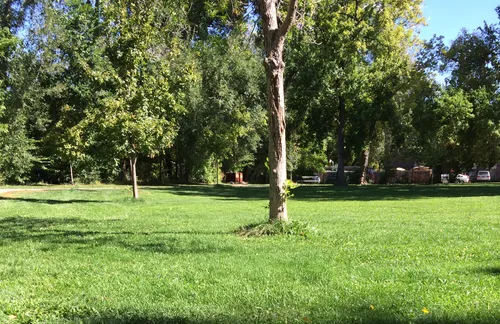 Sunlit lawn area with scattered trees providing shaded spots
