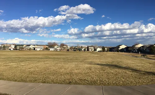 The park's large open field under a vivid afternoon sky