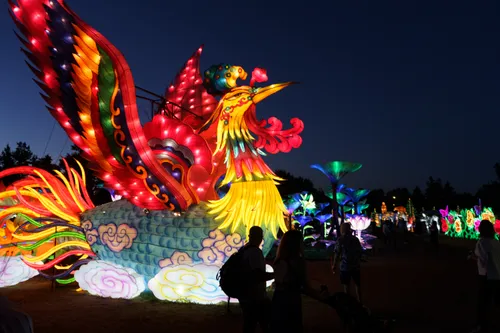 Visitors admiring a majestic bird structure at night