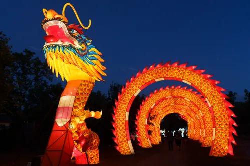 Glowing Chinese dragon forms a tunnel to walk under