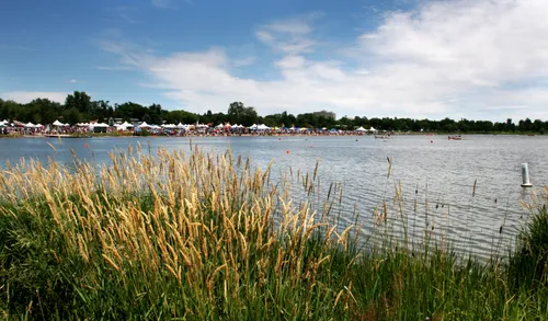 Reeds frame the waters of Sloan's Lake during the Dragon Boat Festival
