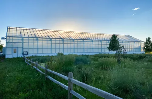 Large greenhouse in morning light at the Gotham Greens facility