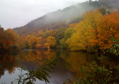 Fall foliage around Mill River on a misty morning