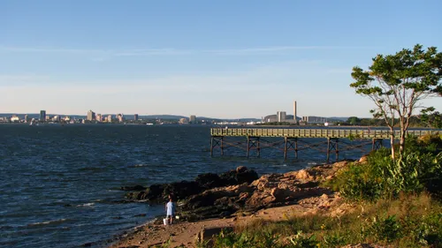 Shoreline view with the fishing pier visible