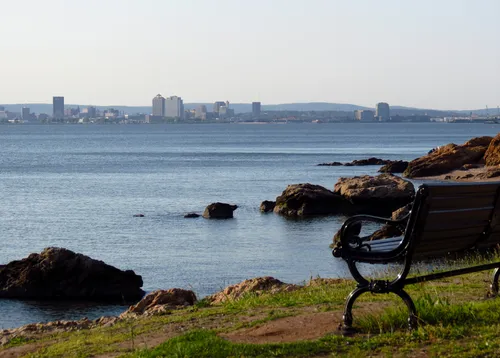 Park bench provides great vantage point of New Haven skyline