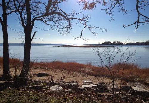 Bare winter trees frame a calm cove along the shoreline