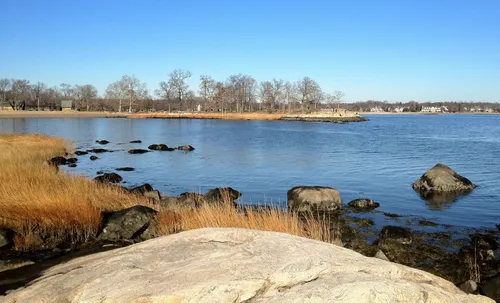 Rocky shores and golden marsh grass line the edges of Cove Island