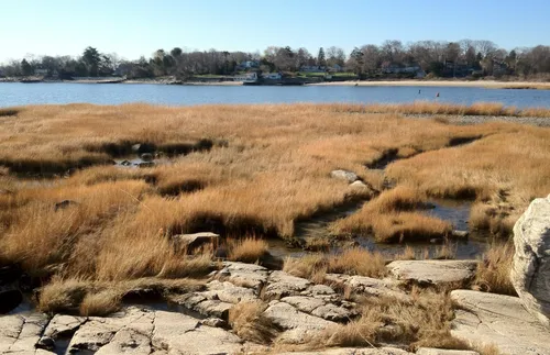 A broad salt marsh stretches toward the open water