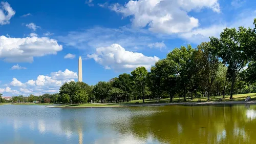 Washington Monument rises above the trees of Constitution Gardens
